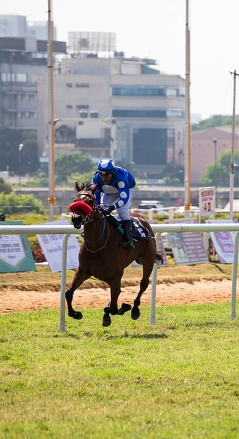 Unlocking the Secrets of Reddy Anna Book’ Bonuses